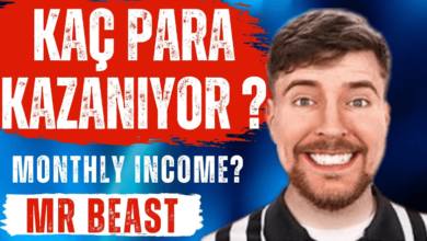 MrBeast Monthly Income