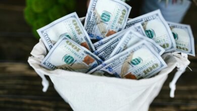 sara saffari s financial success